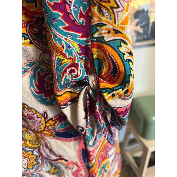 Fig & Flower colorful Paisley shift dress XL - Picture 6 of 9